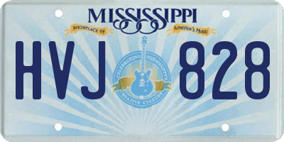 MS license plate HVJ828