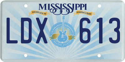 MS license plate LDX613