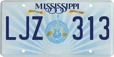MS license plate LJZ313