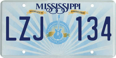 MS license plate LZJ134