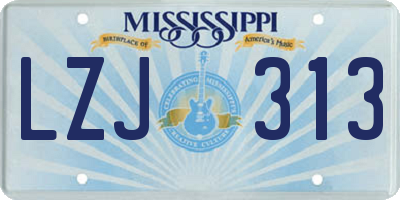 MS license plate LZJ313