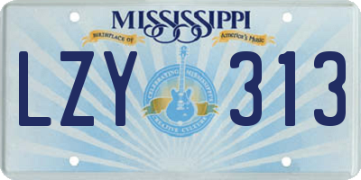 MS license plate LZY313