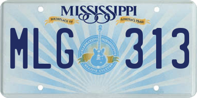 MS license plate MLG313