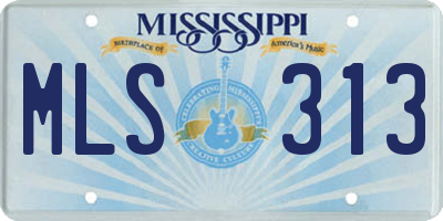 MS license plate MLS313