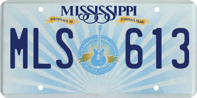 MS license plate MLS613