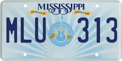 MS license plate MLU313