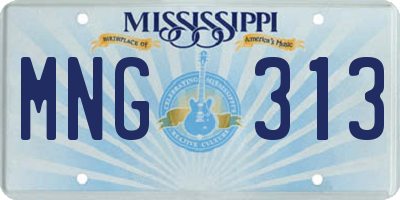 MS license plate MNG313