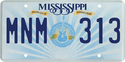 MS license plate MNM313