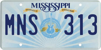 MS license plate MNS313