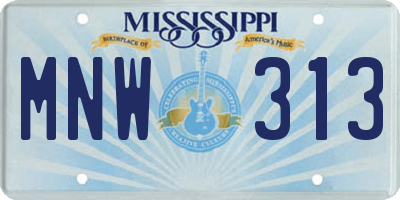 MS license plate MNW313