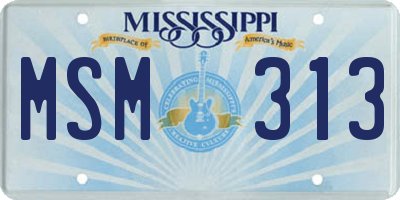 MS license plate MSM313