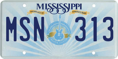 MS license plate MSN313