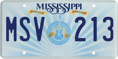 MS license plate MSV213