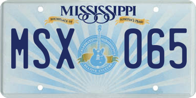 MS license plate MSX065