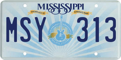 MS license plate MSY313