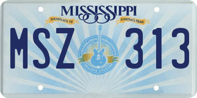 MS license plate MSZ313