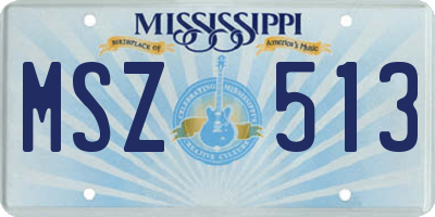 MS license plate MSZ513
