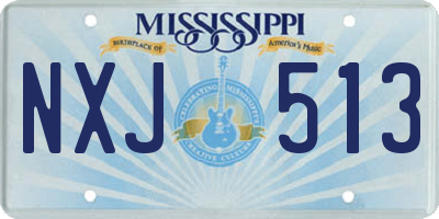 MS license plate NXJ513