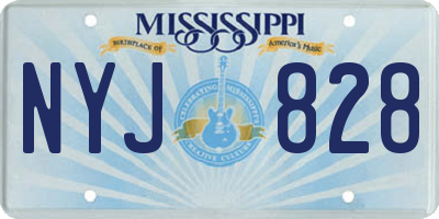 MS license plate NYJ828