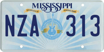MS license plate NZA313