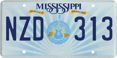 MS license plate NZD313