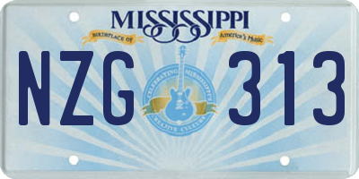 MS license plate NZG313