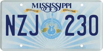 MS license plate NZJ230