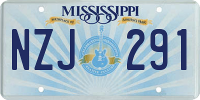 MS license plate NZJ291