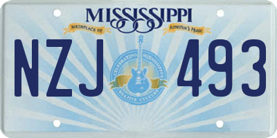 MS license plate NZJ493