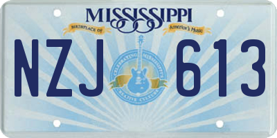 MS license plate NZJ613