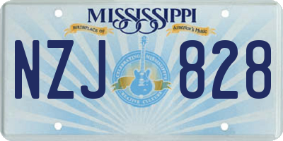MS license plate NZJ828