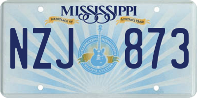 MS license plate NZJ873