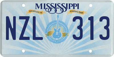 MS license plate NZL313