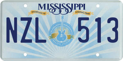 MS license plate NZL513