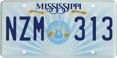 MS license plate NZM313