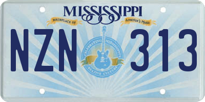 MS license plate NZN313