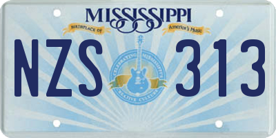 MS license plate NZS313