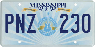 MS license plate PNZ230