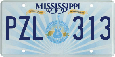 MS license plate PZL313