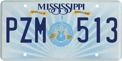MS license plate PZM513