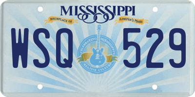 MS license plate WSQ529