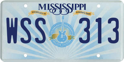 MS license plate WSS313