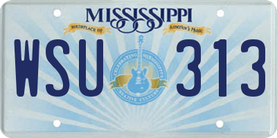MS license plate WSU313