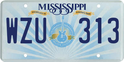 MS license plate WZU313