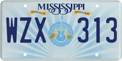 MS license plate WZX313