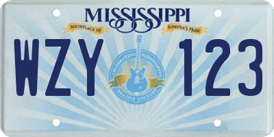 MS license plate WZY123