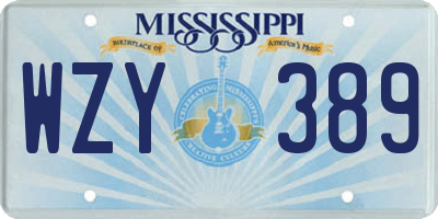 MS license plate WZY389