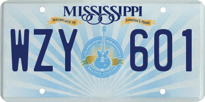 MS license plate WZY601