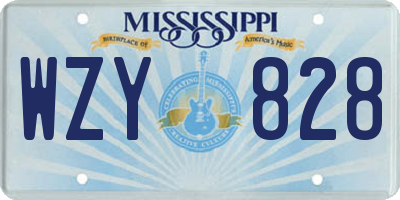 MS license plate WZY828