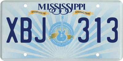 MS license plate XBJ313